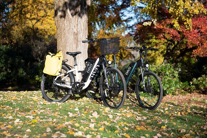 eBike Rentals in Kelowna - Orchards, wineries, mountains, and photo stops