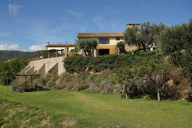 Ebike Tour, Winery, Wine Tasting & Sailing Experience(car option) - Alella Winery Visit and Wine Tasting