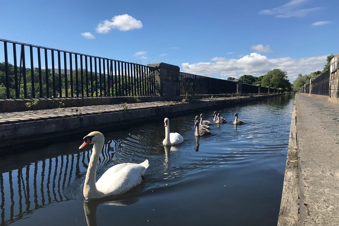 Edinburgh City Bike Tour - Choice of E-Bike or Manual - A quiet route toward Arthur’s Seat