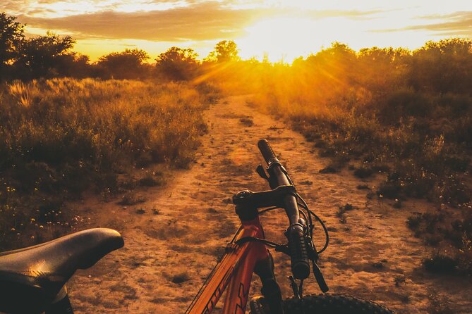 Electric Bike Adventure: Discover Javea's Stunning Landscapes - What the $72.25 Price Buys You