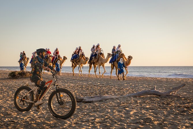 Electric Bike and Beach Camel Ride with Mexican Buffet Lunch - Key points to know before booking