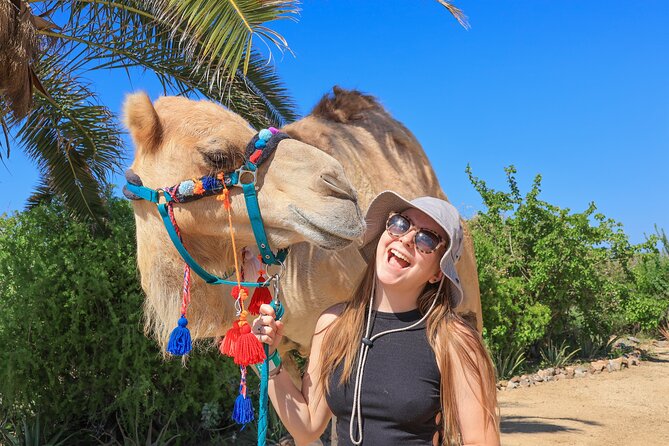 Electric Bike and Beach Camel Ride with Mexican Buffet Lunch - Guides make the difference