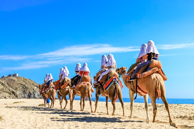 Electric Bike and Beach Camel Ride with Mexican Buffet Lunch - Who will enjoy this Cabo excursion?