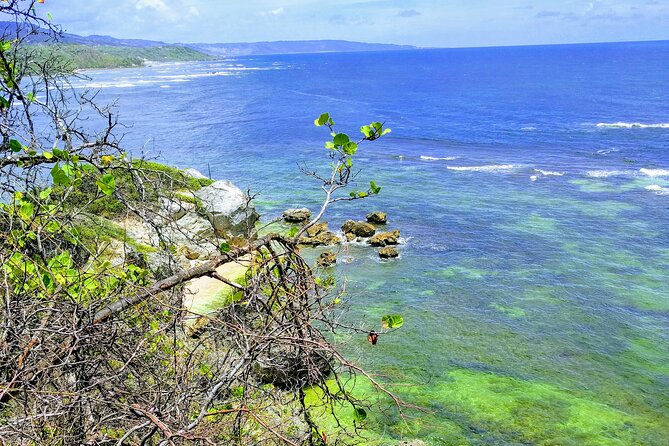Electric Bike Bajan Sightseeing Experience (Transport Included) - Is $125 good value?