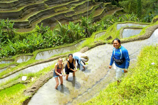 Electric Cycling Tour of Ubud with Free Hotel Transfer and Lunch - Temples, family compounds, and the useful details