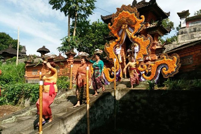 Electric Cycling Tour of Ubud with Free Hotel Transfer and Lunch - The jungle swing and coffee plantation stop