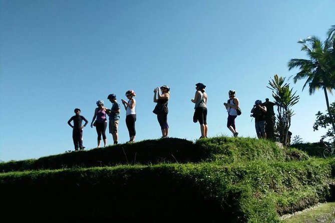 Electric Cycling Tour of Ubud with Free Hotel Transfer and Lunch - Lunch or dinner at the end