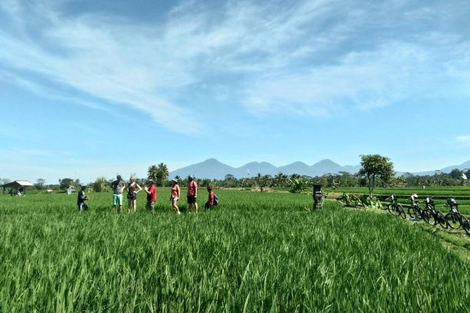 Electric Cycling Tour of Ubud with Free Hotel Transfer and Lunch - Timing, group size, and what to bring