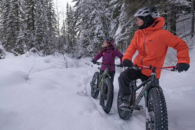 Electric Fat Biking Adventure in Banff | Small Group Adventure - Fenland Trail: a quiet taste of the forest