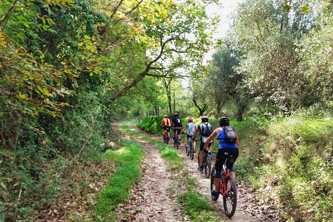 Eleftherna E-Bike and MTB Tour - Experience The Authentic Crete - Key points to know before you ride
