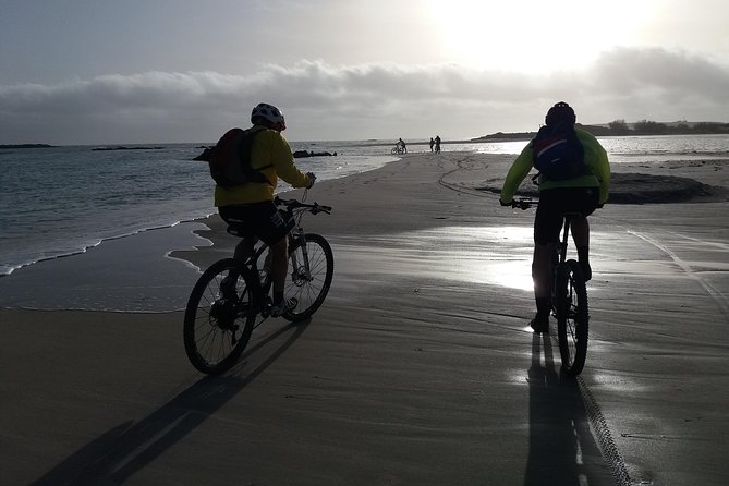 Eleftherna E-Bike and MTB Tour - Experience The Authentic Crete - Is the $90.51 price fair?