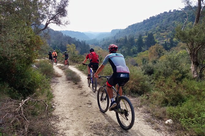 Eleftherna E-Bike and MTB Tour - Experience The Authentic Crete - The forested gorges of Margarites and Eleftherna