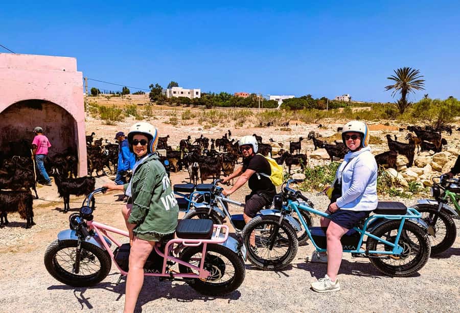 Essaouira: Area Highlights Guided E-Bike Tour - Who should book this ride?