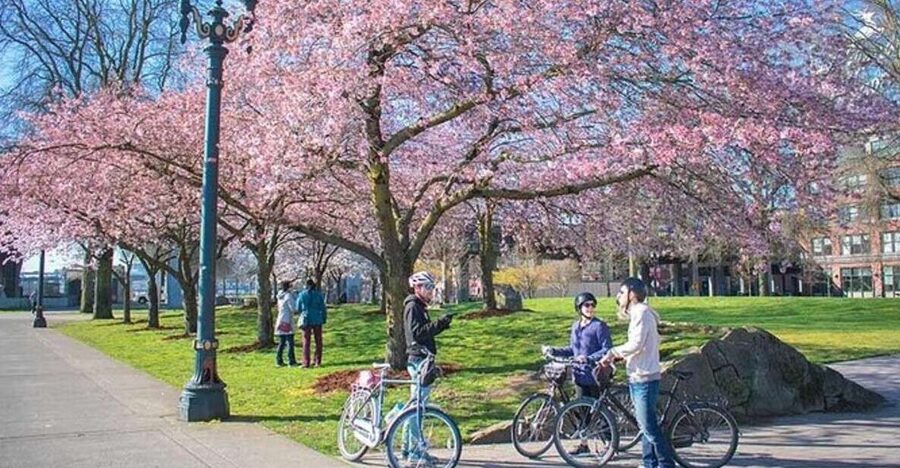Essential Portland: 2-Hour Guided Bike Tour - The Pearl District, food, beer, and craft culture
