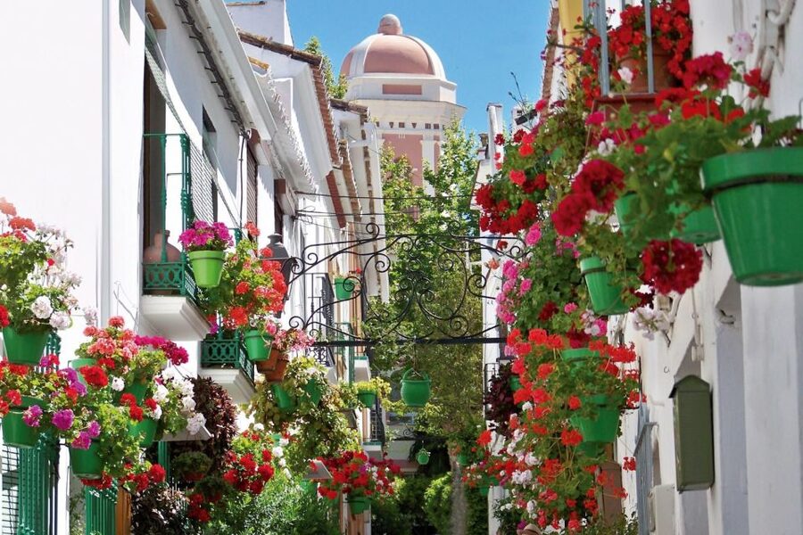 Estepona best kept secrets: City bike guided tour - The old civilizations behind modern Estepona