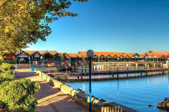Experience Rottnest with Ferry & Bike Hire - The Basin and Rottnest’s clear water