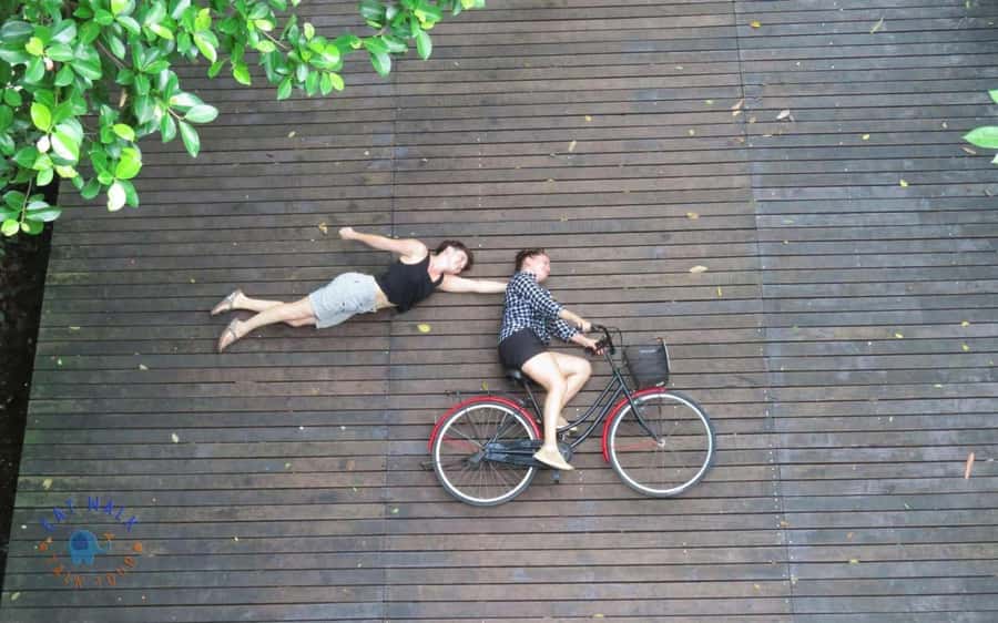Explore Bangkok jungle by bike, kayak & boat - small group - How much value do you get for $56?