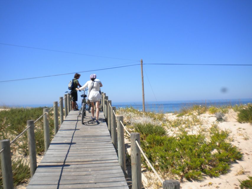 Faro Bike Tour through the Beautiful Ria Formosa - Who Will Enjoy This Ride Most