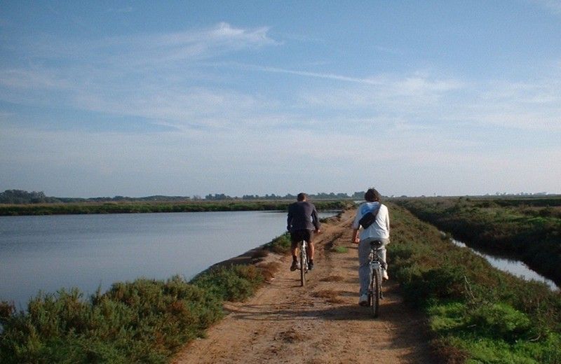 Faro Bike Tour through the Beautiful Ria Formosa - Why the Ria Formosa Works So Well by Bike
