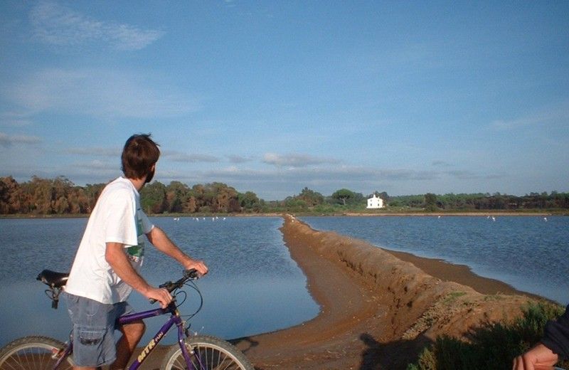 Faro Bike Tour through the Beautiful Ria Formosa - Riding Out to the Saltpans