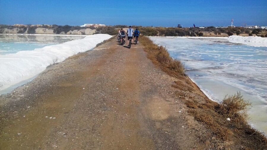 Faro Bike Tour through the Beautiful Ria Formosa - Across Marshes, Channels, and Small Islets