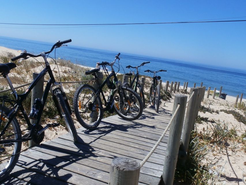 Faro Bike Tour through the Beautiful Ria Formosa - The Ride Back to Faro