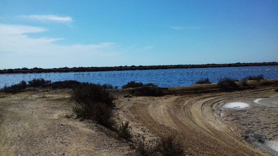 Faro Bike Tour through the Beautiful Ria Formosa - Guides Make the Difference