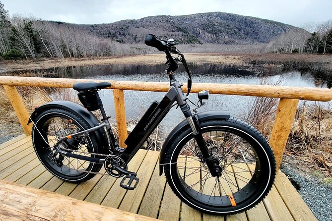 Fat Tire E-Bike Rental in Bar Harbor - How much ground can you cover in four hours?