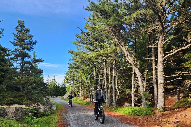 Fat Tire E-Bike Rental in Bar Harbor - Who will enjoy this ride most?