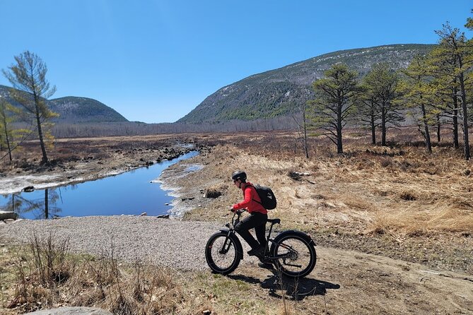 Fat Tire E-Bike Rental in Bar Harbor - Why the RadRover 6 Plus suits Acadia