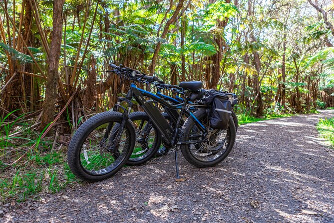 Fat Tire E-Bike Rental - Volcanoes National Park - What The Equipment Is Like