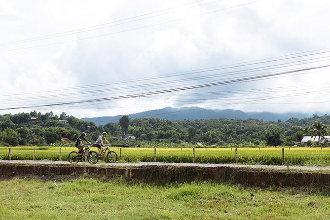 FIELDS OF GOLD Mountain Biking Tour Chiang Mai - Riding beyond Chiang Mai’s city walls