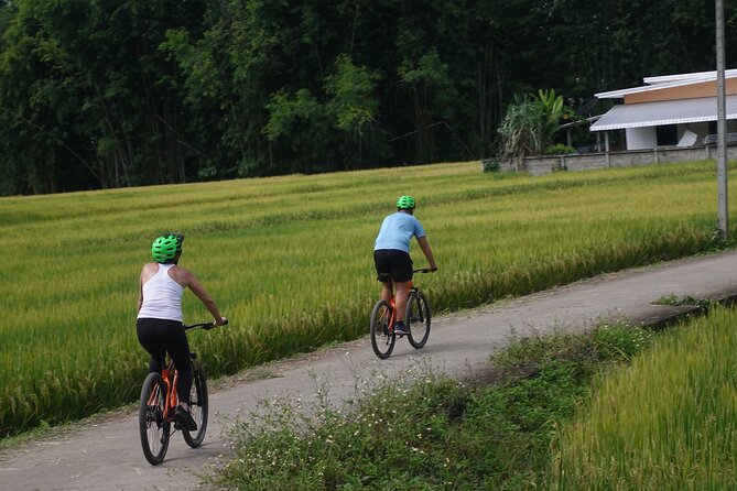 FIELDS OF GOLD Mountain Biking Tour Chiang Mai - Coffee at the trailhead