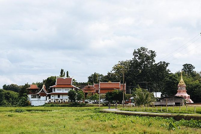 FIELDS OF GOLD Mountain Biking Tour Chiang Mai - What the food and village stops add