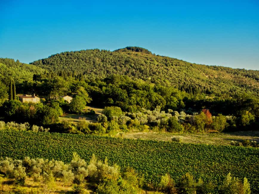 Fiesole E-Bike Tour with Olive Oil Tasting or Pool & Chill - Afternoon choice: pool time, wine, and bruschetta