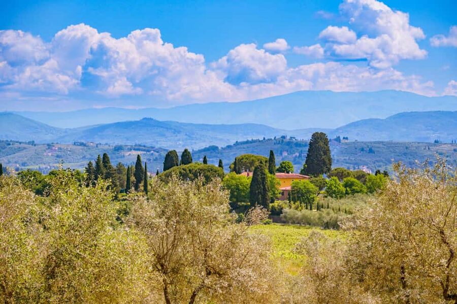 Florence: Chianti E-Bike Tour with Lunch & Two Wine Tastings - What the guides add to the day