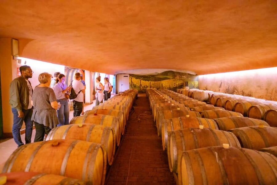 Florence: Chianti E-Bike Tour with Lunch & Two Wine Tastings - Who will enjoy this tour most?