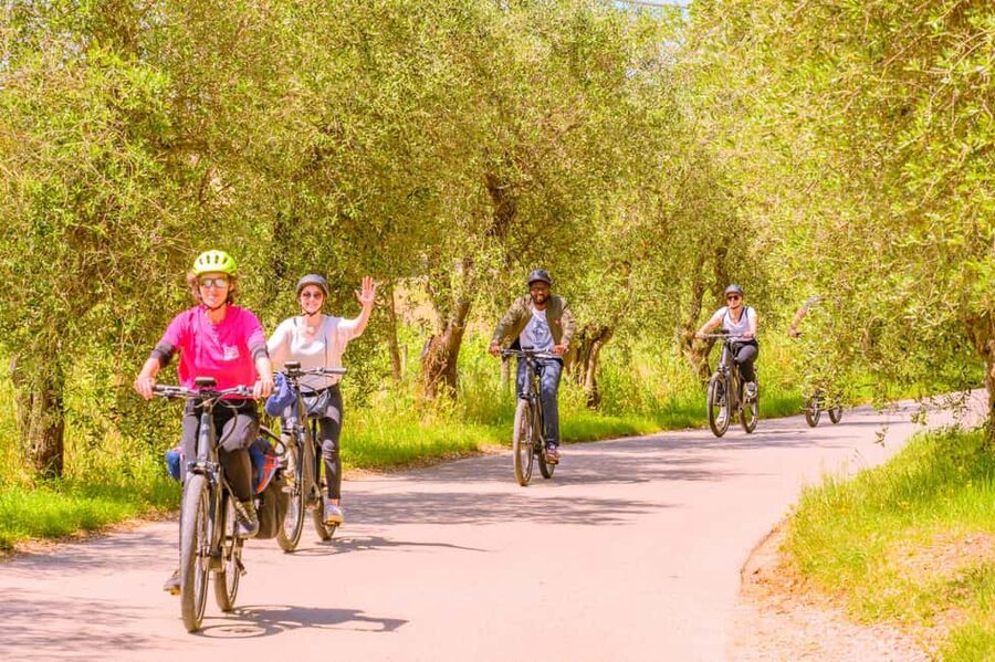 Florence: Chianti E-Bike Tour with Lunch & Two Wine Tastings - Practical details that make the day easier
