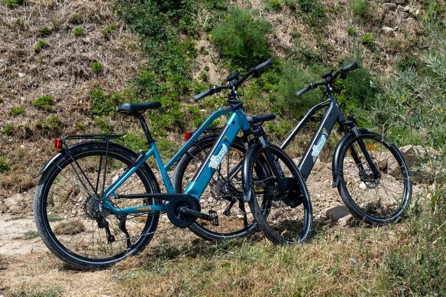 Florence: Chianti E-Bike Tour with Wine Tasting and Lunch - Key points to know before you book