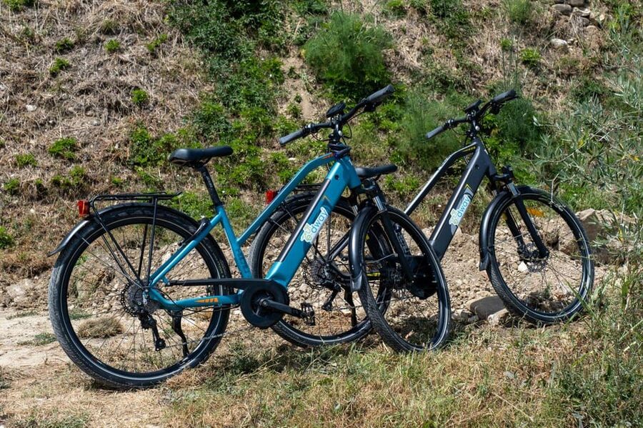 Florence: Chianti E-Bike Tour with Wine Tasting and Lunch - Guides, group size, and the feel of the outing