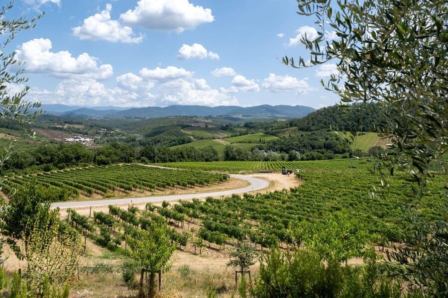 Florence: Chianti E-Bike Tour with Wine Tasting and Lunch - Who will enjoy this Chianti ride?