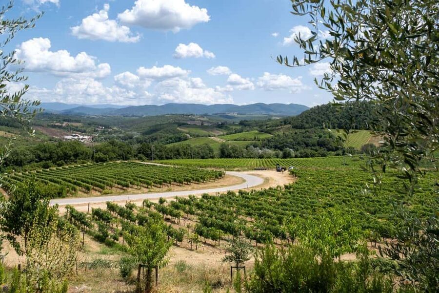 Florence: Chianti E-Bike Tour with Wine Tasting and Lunch - Should you book it?