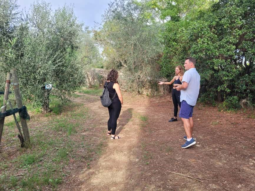 Florence: E-Bike Tour in Tuscany with Winery & Wine Tasting - San Miniato al Monte gives you the classic view