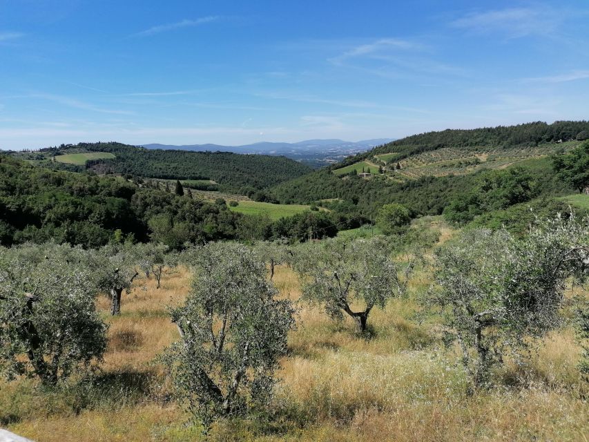 Florence: E-Bike Tour with Olive Oil in the Tuscan Hills - Pian dei Giullari and the Galileo connection