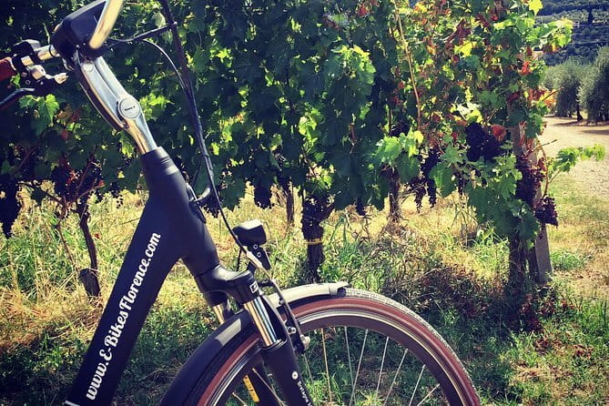 Florence Hills E-Bike Tour with Gelato Tasting - Arcetri and the Galileo connection
