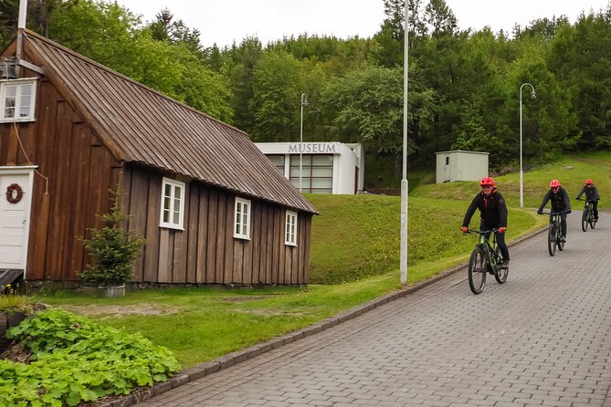 Forest Lagoon Ebike Tour Akureyri - Who will enjoy this most