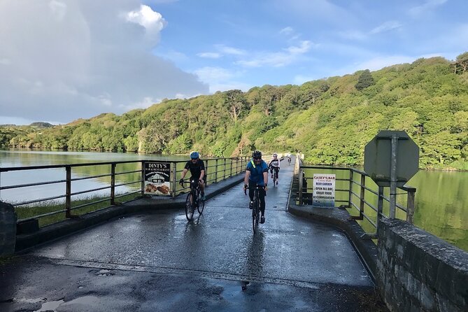Forks, Focail and Folklore - Storytelling Tour via eBike - Who will enjoy this West Cork ride?