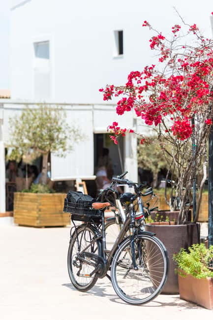 Formentera: discover our fast ferry + bike package - Why this ferry and bike combination works