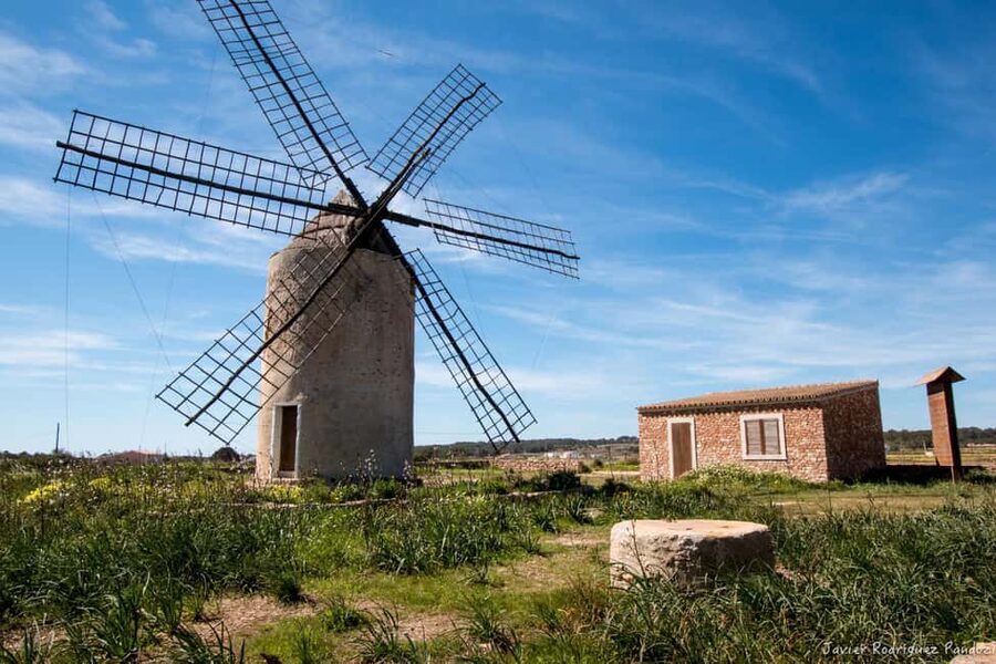 Formentera: discover our fast ferry + electric bike package. - Booking Details Worth Knowing