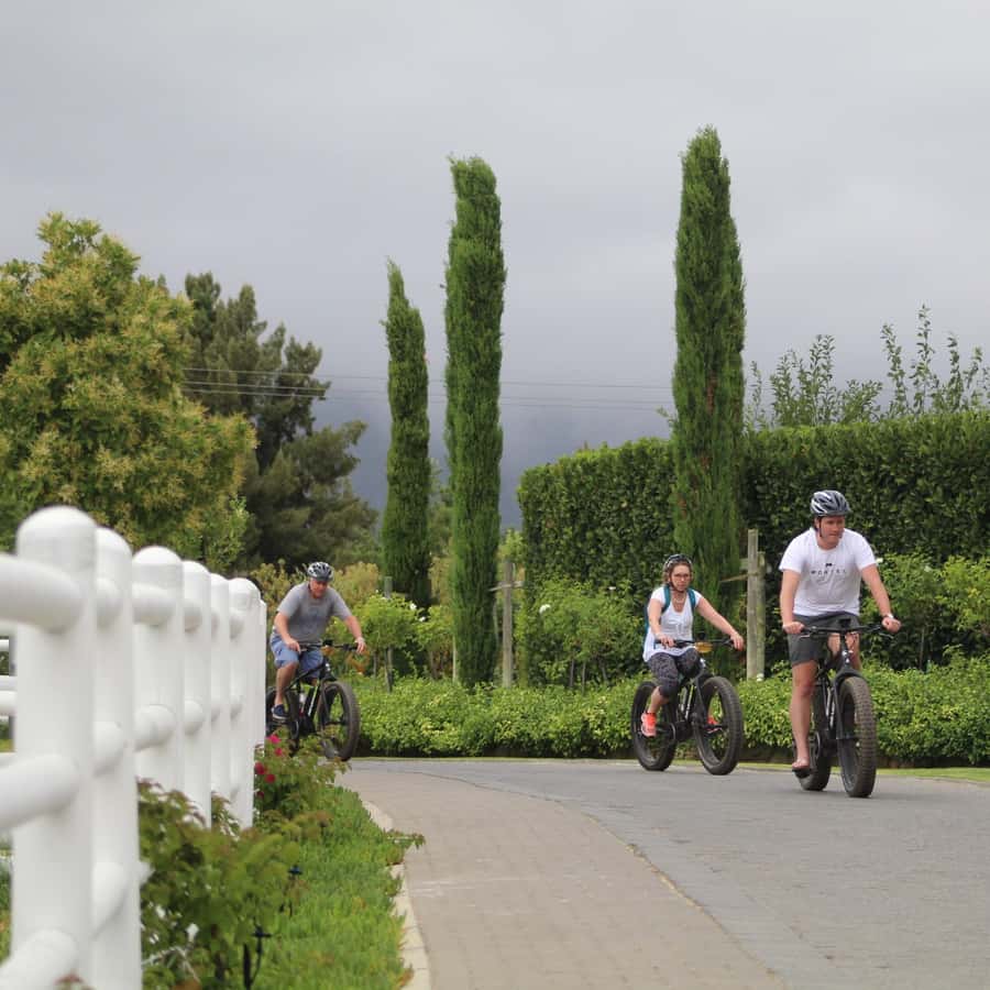 Franschhoek: E-Bike Guided Winery Tour - First winery stop: 45 minutes among the vines